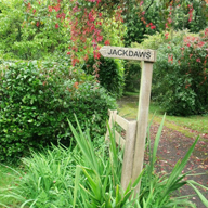 Jackdaws Courses