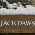 Snowy Jackdaws Sign