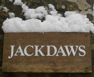 Snowy Jackdaws Sign